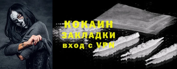 твердый Михайловск