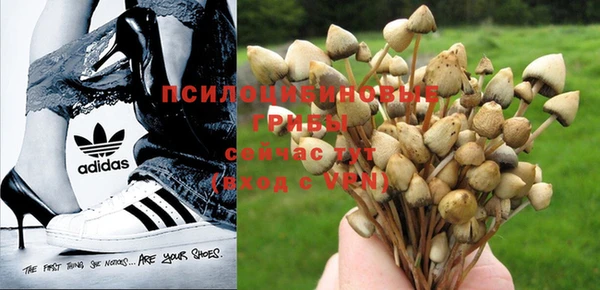 прущие грибы Алексин