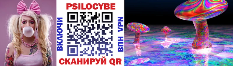 Псилоцибиновые грибы Psilocybine cubensis Зерноград