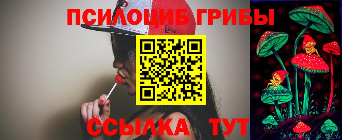 Псилоцибиновые грибы ЛСД  Вход с VPN  Зерноград 