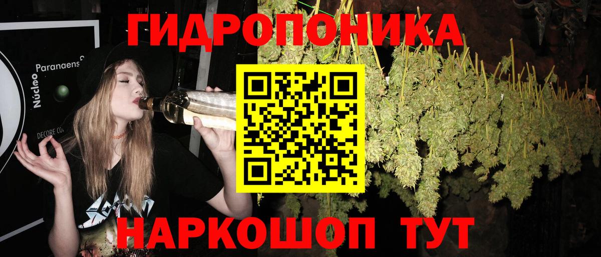 Бошки Шишки конопля Зерноград